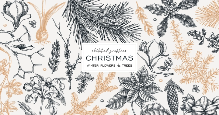 Vintage Christmas banner design. Winter plants background. Conifer trees, winter flowers, berry sketches. Hand drawn vector illustration. NOT AI generated